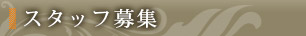 スタッフ募集